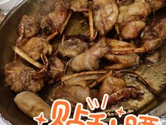 围屋油焗鸡-围龙屋客家食府(福田店)