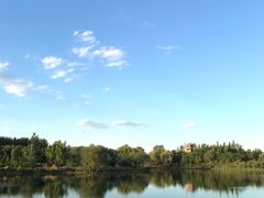-东郊湿地公园