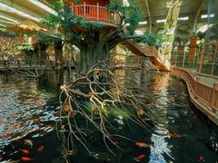 -南宫五洲植物乐园
