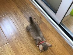 -语朵教育·日韩德法留学(曹杨校区)