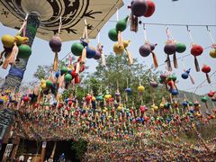 -西双版纳原始森林公园