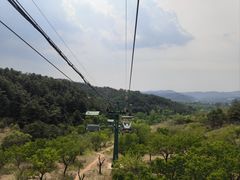-磬锤峰森林公园