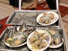 -鸿达渔港