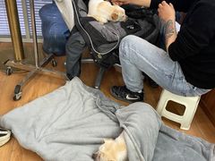 -瑞派宠物医院(锦江店)