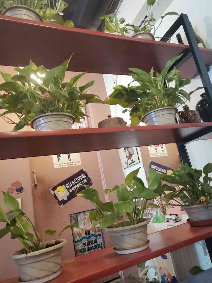 盛超主题餐厅(怀特店)-"在点评上看到这家有券挺合适就买了,位置不.