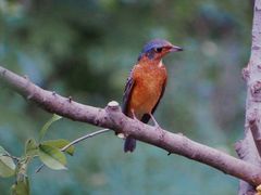 -苏州河梦清园环保主题公园