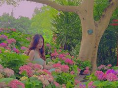 -广西壮族自治区药用植物园