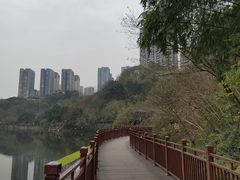 -重庆彩云湖湿地公园