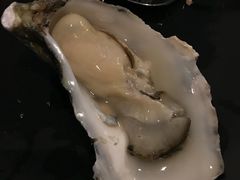 -亚特兰蒂斯•OSSIANO奥西亚诺海底餐厅