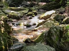 -香炉山国家森林公园
