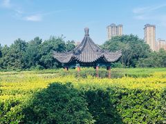 -南阳卧龙岗武侯祠