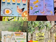 -正佳雨林生态植物园