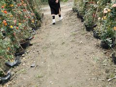 -中国天府农业博览园