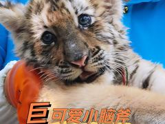 -西安秦岭野生动物园