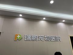 -瑞鹏宠物医院·骨外科·心肾科·肿瘤科(九亭店)