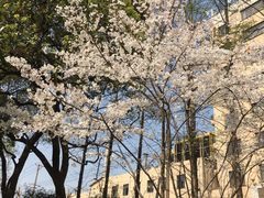 -徐家汇源景区-衡山公园