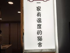 -猫十亿·布偶金渐层·曼基康矮脚猫舍(青年路店)