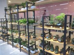 达镖国际酒店-广州达镖国际酒店