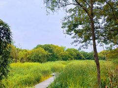 -西溪国家湿地公园