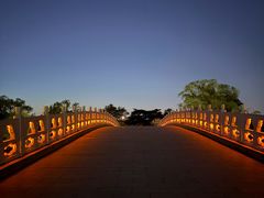-北陵公园