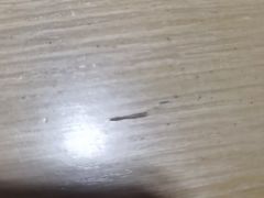 -长寿面馆(振兴路店)