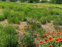 -思念果岭悦温泉