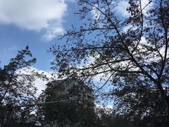 -四川大学(华西校区)