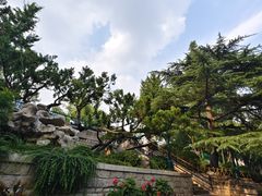 -环城公园