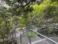 -佛山华盖山公园
