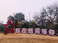 -西苑公园