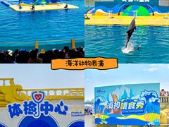 -秦皇岛乐岛海洋王国