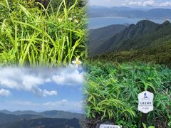 -七娘山