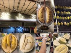 -都念榴莲·城市榴莲