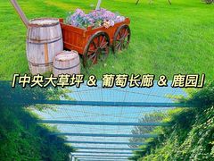 -沉浸北京·团建旅行·密室剧本杀·年会会议轰趴拓展