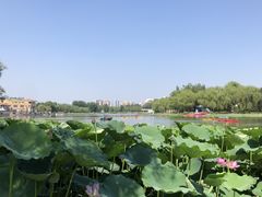 -WhaleSports户外水上运动俱乐部(朝阳公园店)