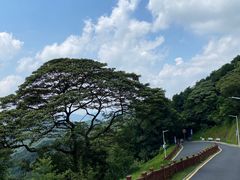 -黄埔油麻山森林公园
