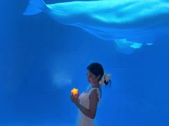 -海合安成都极地海洋公园