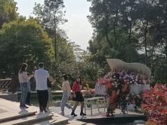 -铁山坪森林公园