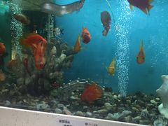 -瑞伯克牛排自助餐厅天一广场店