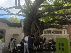 -墨池公园