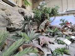 -国家自然博物馆