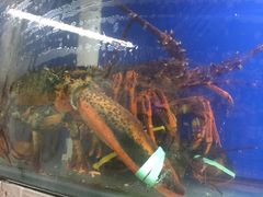 -雅憩花园餐厅