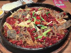 -老板恋上鱼(恒隆广场店)