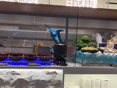 -星伦多自助料理·涮烤一体(江桥万达店)