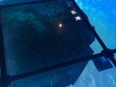 -上海长江河口科技馆