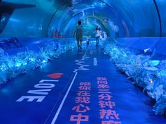 -重庆欢乐海底世界