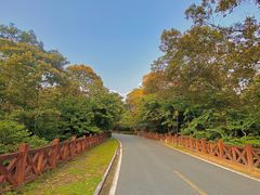 -广州市流溪河国家森林公园