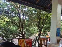 -满記土窑烧鷄波浪山莊