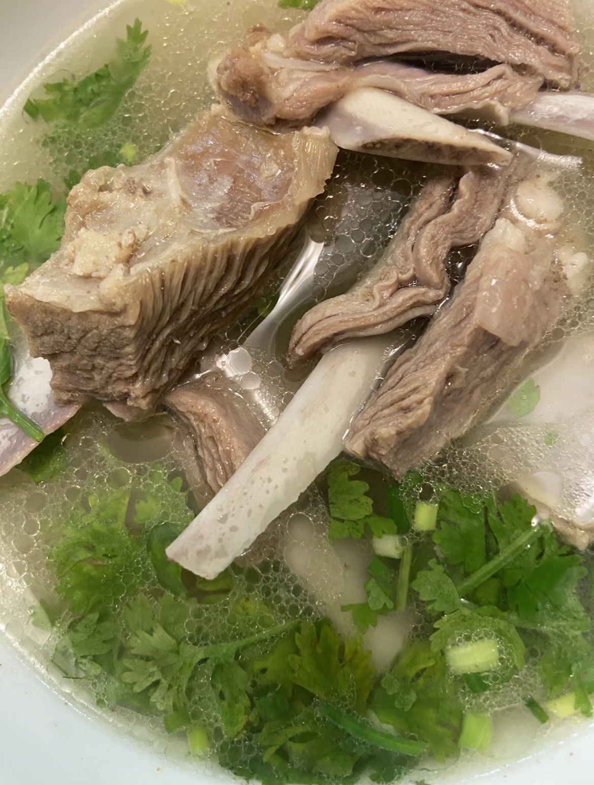 0元玩转这座城买了羊肉炖了白萝卜羊汤
趁热喝一大碗,瞬间被治愈了