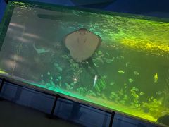 -常州海昌海洋探索馆